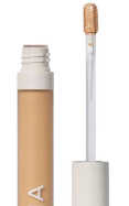 True Skin Serum Concealer